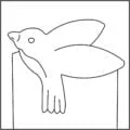 TMC_Bird