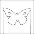 TMC_Butterfly