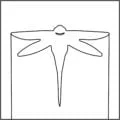 TMC_Skimmer